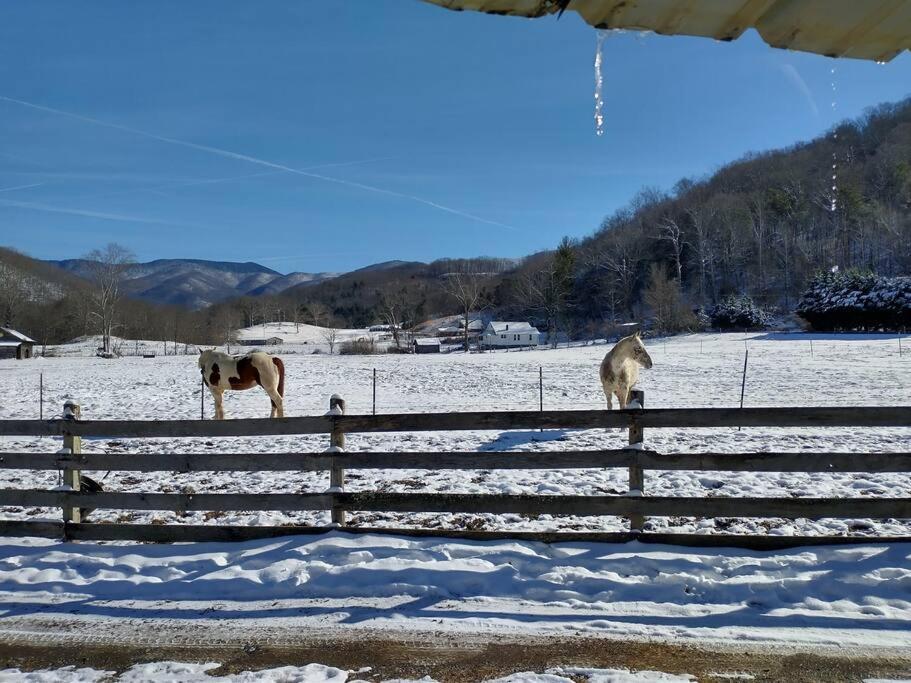 Villa Country Mountain Escape! Barnardsville Exterior foto