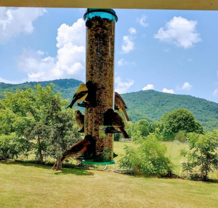 Villa Country Mountain Escape! Barnardsville Exterior foto