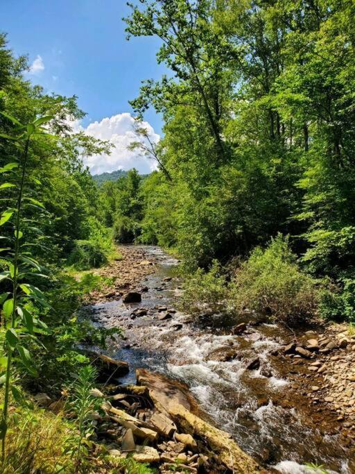 Villa Country Mountain Escape! Barnardsville Exterior foto