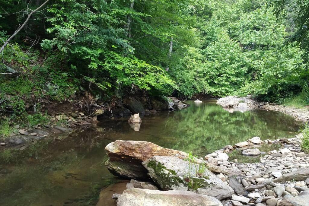 Villa Country Mountain Escape! Barnardsville Exterior foto