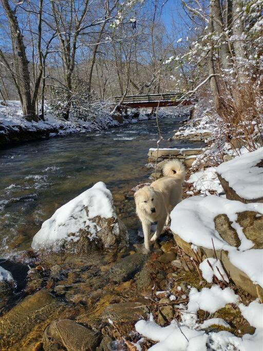 Villa Country Mountain Escape! Barnardsville Exterior foto