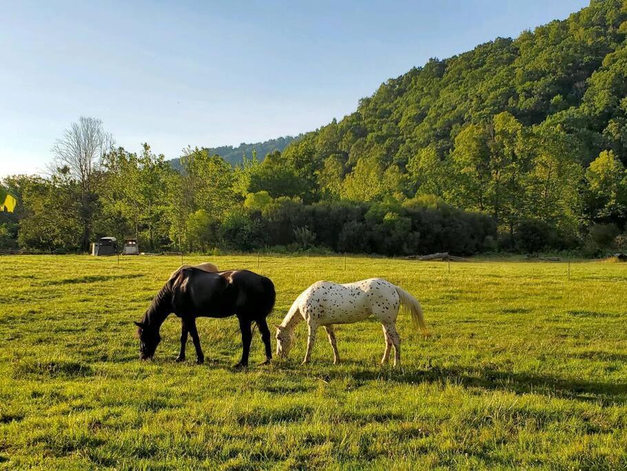Villa Country Mountain Escape! Barnardsville Exterior foto